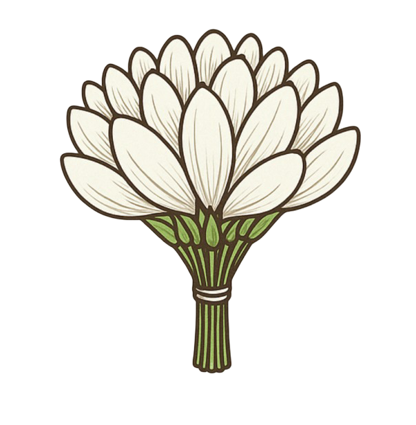 Logo Mechmoum Consulting